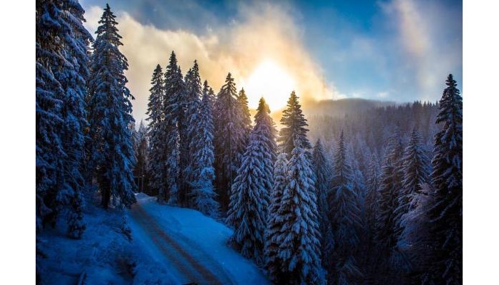 Hotel Sunny Hills Ski And Wellness poza 24