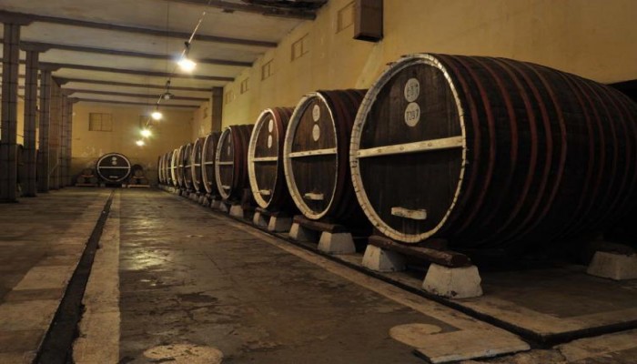 Hotel Festa Via Pontica poza 28