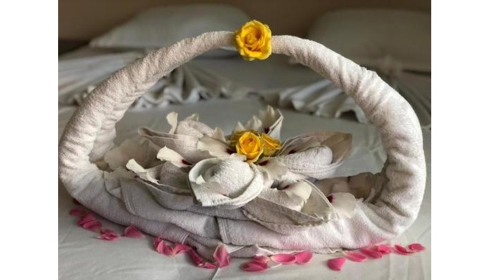 Allia Apartments poza 7