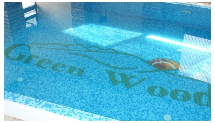 Green Wood Hotel & Spa Bansko poza 9