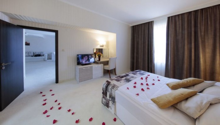 Dunav Plaza Hotel poza 10