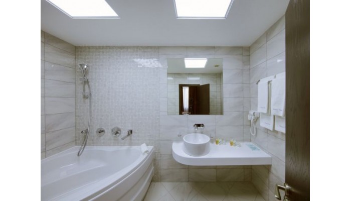 Dunav Plaza Hotel poza 4