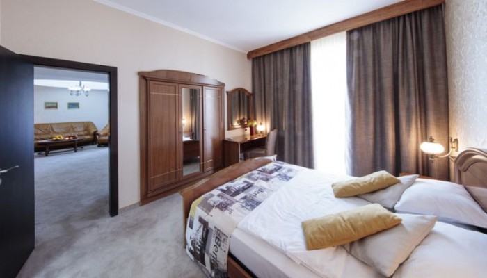 Dunav Plaza Hotel poza 7