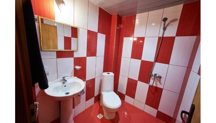 Hotel Izvora poza 14