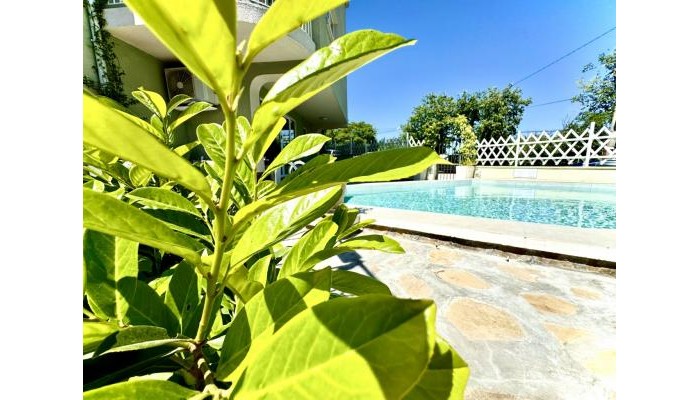 Hotel Amfora poza 18