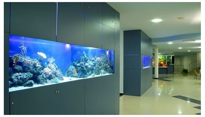 Poza pentru Hotel Aqua Azur 664-1483616849 Hotel Aqua Azur poza 11