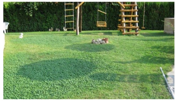 Hotel Atlant poza 23