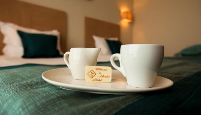 Poza pentru Azalia Hotel & Spa 208-1505983176 Azalia Hotel & Spa poza 7