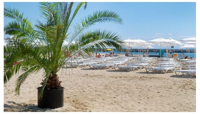 Hotel Dolphin Marina poza 11