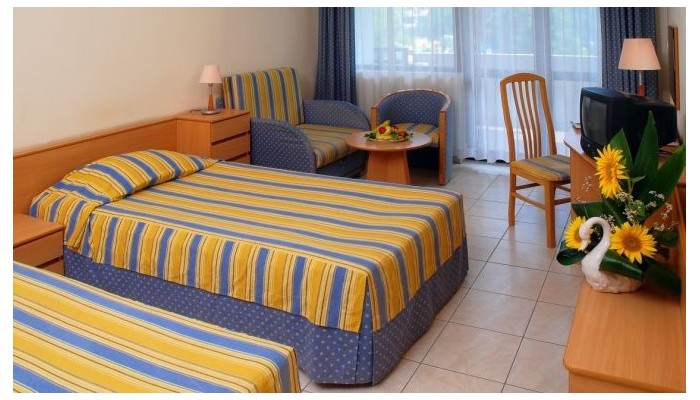 Poza pentru Hotel Lebed 547-1483616990 Hotel Lebed poza 6