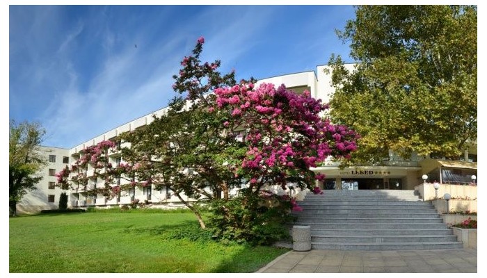 Poza pentru Hotel Lebed 666-1483616990 Hotel Lebed poza 8