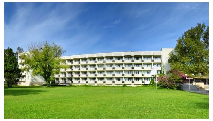 Poza pentru Hotel Lebed 684-1483616990 Hotel Lebed poza 0