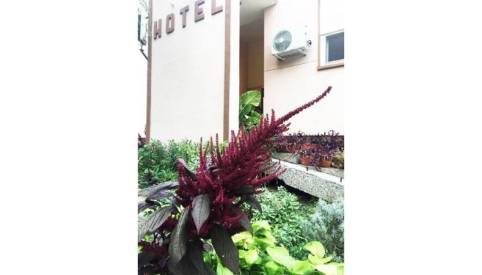 Hotel Rody poza 1