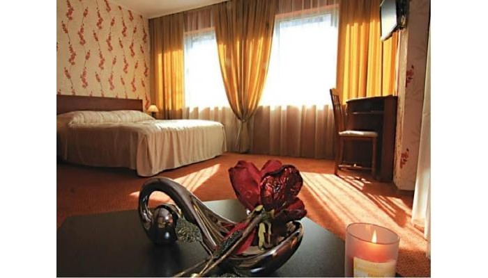 Hotel Vienna poza 6