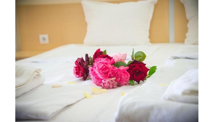 Apart Hotel Apolonia Palace poza 5