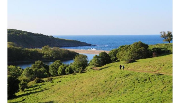 Asti Arthotel poza 15