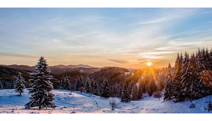 Amampuri Village poza 21