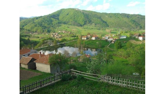 Hotel Chitakovata House Guest House poza 3