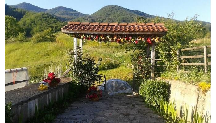 Hotel Chitakovata House Guest House poza 2