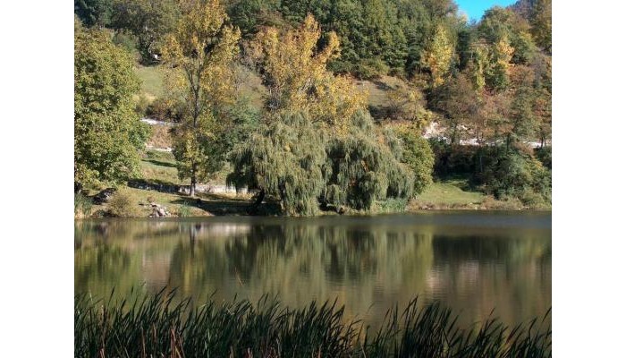 The Lake Villa Hotel poza 11