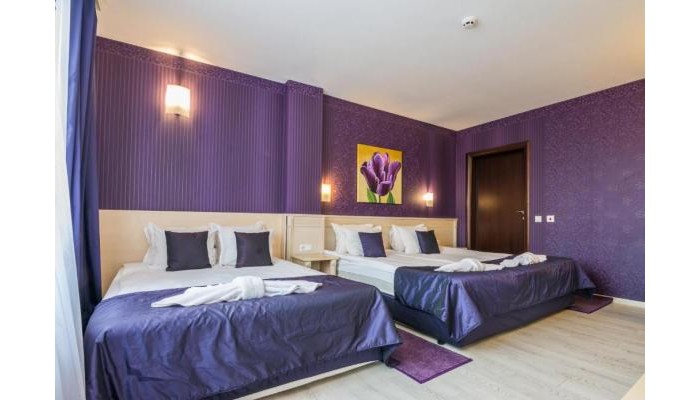 Aris Hotel poza 5