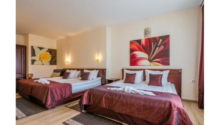 Aris Hotel poza 2