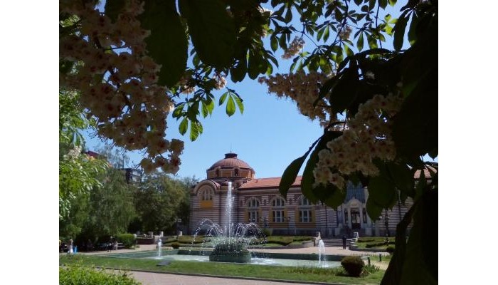 Alexander Business Apartments poza 9