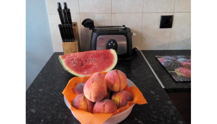 Alexander Business Apartments poza 11