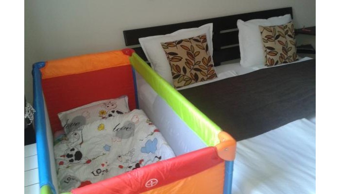 Alexander Business Apartments poza 13