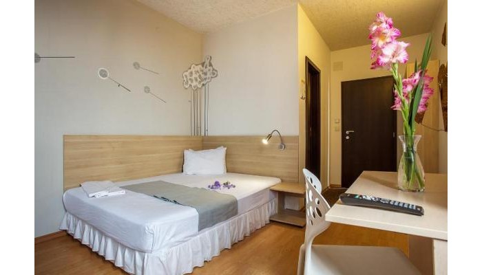 Simona Art Hotel poza 8