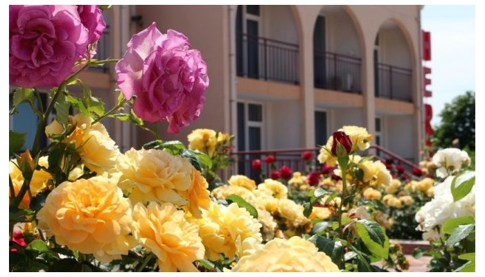 Poza pentru Hotel Hera 386-1483609402 Hotel Hera poza 67