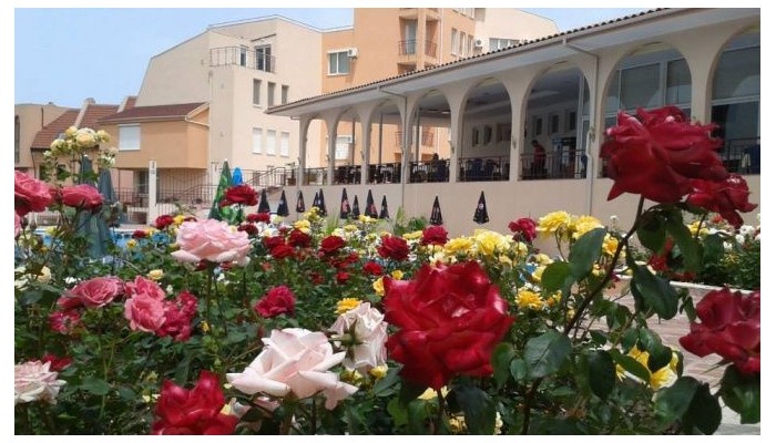 Poza pentru Hotel Hera 669-1483609402 Hotel Hera poza 66