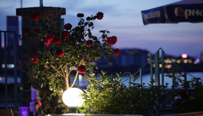 Poza pentru Hotel Lozite 415-1504789543 Hotel Lozite poza 1