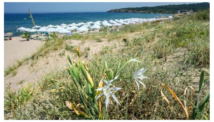 Poza pentru Hotel Miramar 387-1483609475 Hotel Miramar poza 24