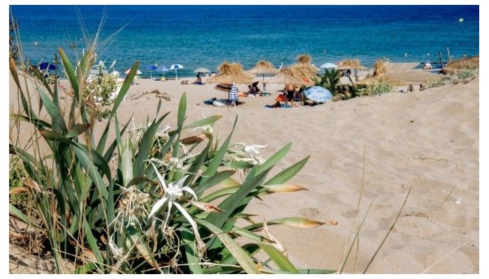 Poza pentru Hotel Miramar 783-1483609476 Hotel Miramar poza 62
