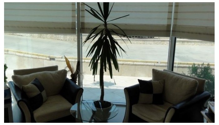 Poza pentru Hotel Selena Beach 427-1483609515 Hotel Selena Beach poza 8