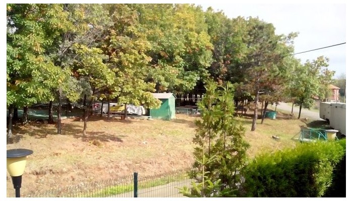 Poza pentru Hotel Serena Residence 852-1483609537 Hotel Serena Residence poza 54