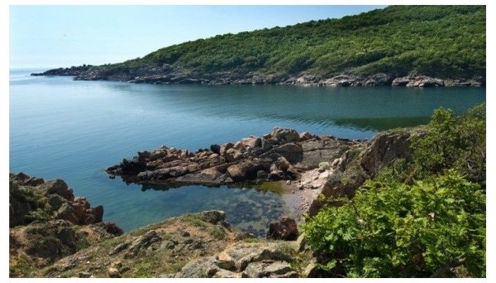 Poza pentru Hotel South Pearl 655-1483609557 Hotel South Pearl poza 7