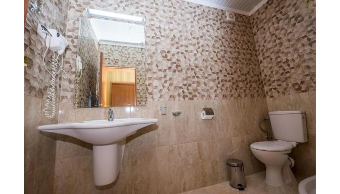 Family Hotel Gallery poza 10