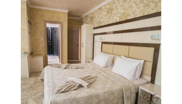 Family Hotel Gallery poza 2