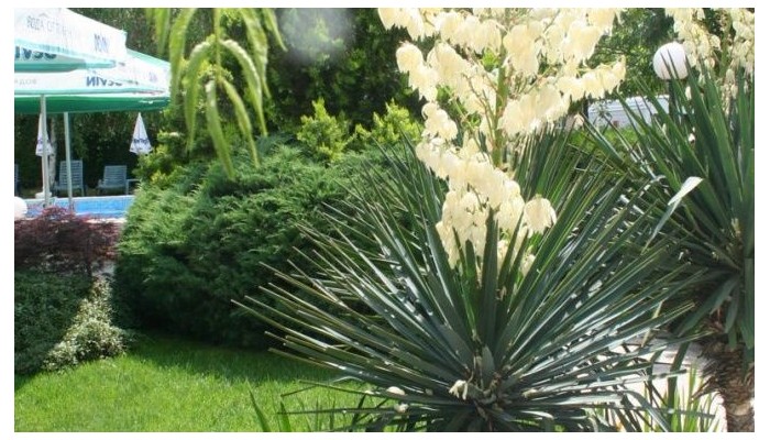 Hotel Aurelia poza 30