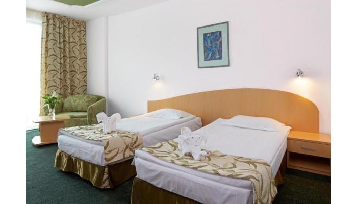 Hotel Mena Palace poza 20