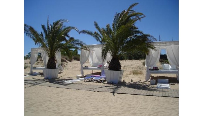 Palm Residence Hotel poza 6