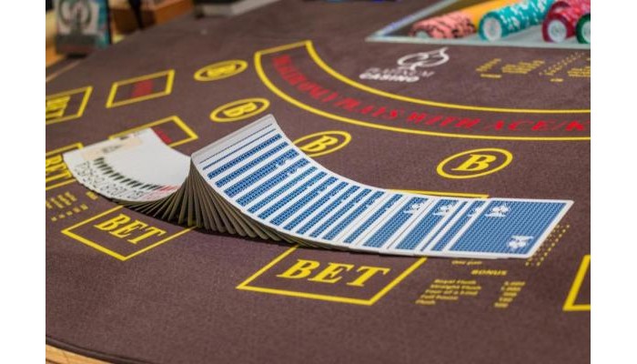 Platinum Casino & Hotel poza 14