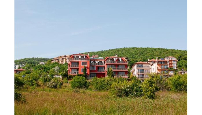 Red Iguana Hotel poza 4