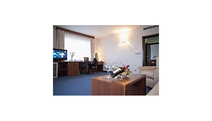 Hotel Best Western Park poza 9