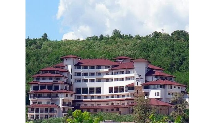 Hotel Kalina Palace poza 8