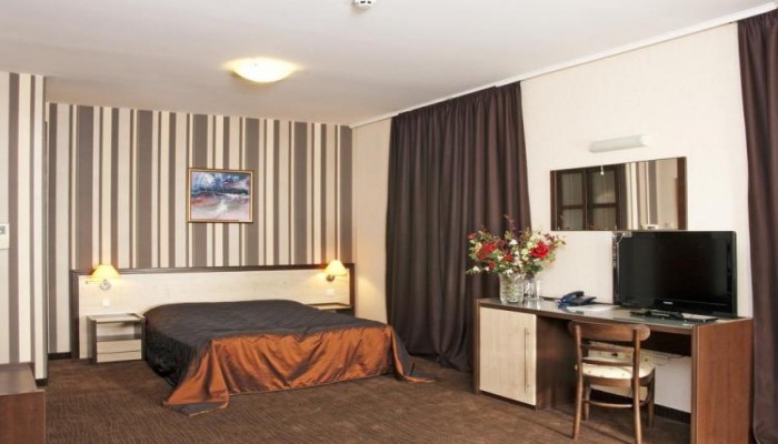 Business Hotel Premier poza 2