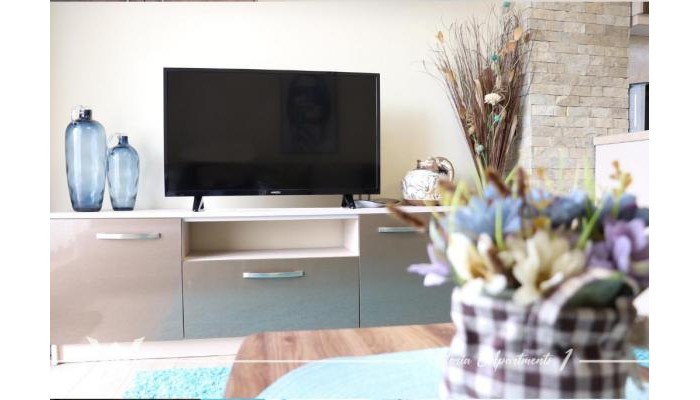 Apartment Victoria poza 2