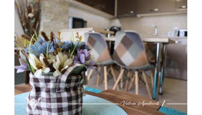 Apartment Victoria poza 9